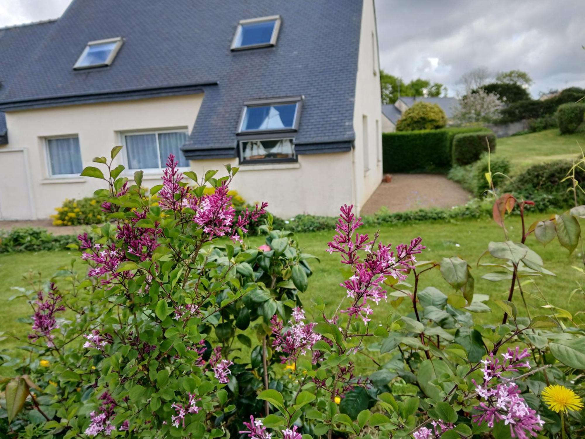 Maison Avec Jardin Clos La Roche Jaudy エクステリア 写真